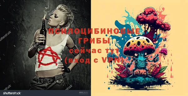 сатива Алексин