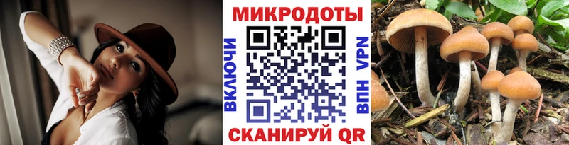 Галлюциногенные грибы Psilocybine cubensis  мега ONION  Пыталово  где найти наркотики 